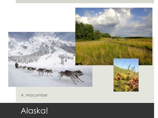 Alaska!
A. Macomber
 
