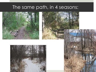 The same path, in 4 seasons:
 