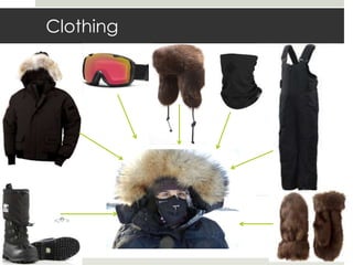 Clothing
 