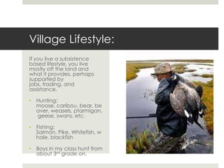 Village Lifestyle:
If you live a subsistence
based lifestyle, you live
mostly off the land and
what it provides, perhaps
supported by
jobs, trading, and
assistance.
• Hunting:
moose, caribou, bear, be
aver, weasels, ptarmigan,
geese, swans, etc.
• Fishing:
Salmon, Pike, Whitefish, w
hale, blackfish
• Boys in my class hunt from
about 3rd grade on.
 