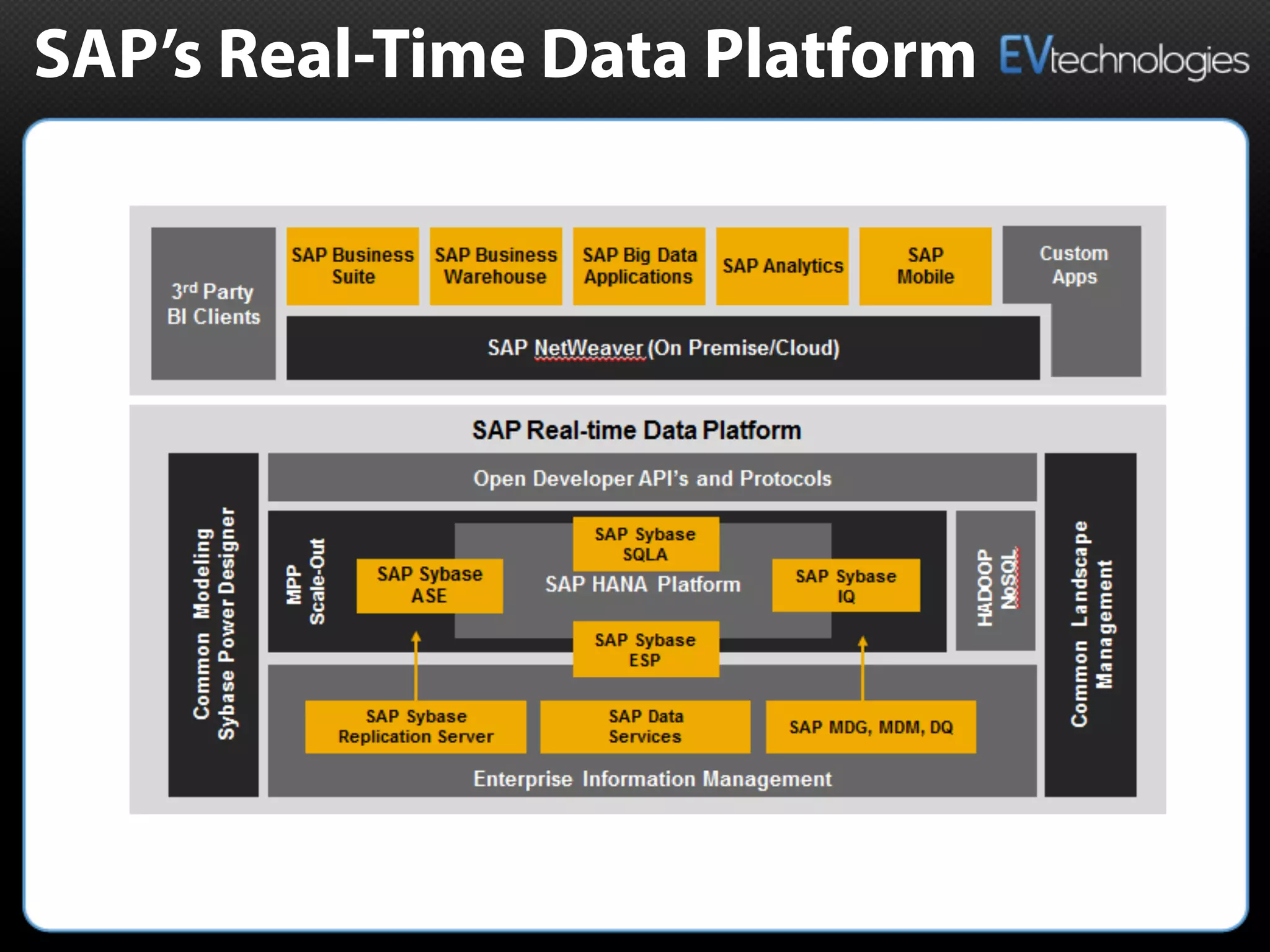 SAP’s Real-Time Data Platform
 