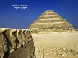 Cobra et Pyramide,  Saqqara, Égypte 