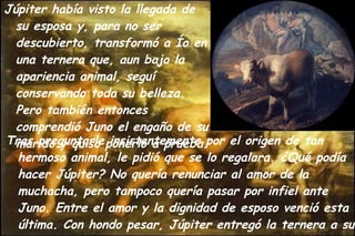 Júpiter había visto la llegada de su esposa y, para no ser descubierto, transformó a Ío en una ternera que, aun bajo la apariencia animal, seguí conservando toda su belleza. Pero también entonces comprendió Juno el engaño de su marido y quiso ponerlo a prueba.  Tras preguntarle insistentemente por el origen de tan hermoso animal, le pidió que se lo regalara. ¿Qué podía hacer Júpiter? No quería renunciar al amor de la muchacha, pero tampoco quería pasar por infiel ante Juno. Entre el amor y la dignidad de esposo venció esta última. Con hondo pesar, Júpiter entregó la ternera a su esposa.  