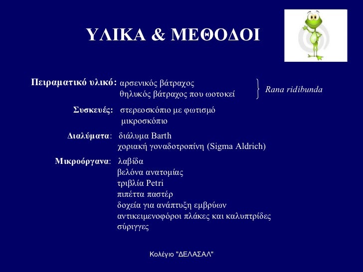 Κολλέγιο κορίτσια σύριγγες