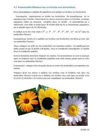 4.1 Η ακολουθία Fibonacci και τα πέταλα των λουλουδιών.
Όπως προαναφέραμε ο αριθμός Φ εμφανίζεται στον αριθμό των πετάλων των λουλουδιών.
Συγκεκριμένα, παρατηρώντας τα πέταλα των λουλουδιών θα ανακαλύψουμε ότι το
αγριόκρινο έχει 3 πέταλα , κάποια φυτά του γένους ranunculus έχουν 5 ή 8 πέταλα , οι άσπρες
μαργαρίτες καθώς και ορισμένοι κατιφέδες έχουν 21 πέταλα , το τριαντάφυλλο και η
καλέντουλα είναι άνθη τα οποία έχουν 34 πέταλα αλλά και ότι οι περισσότερες μαργαρήτες
και οι ηλίανθοι έχουν 34, 55 ή 89 πέταλα.
Οι αριθμοί αυτοί δεν είναι παρά ο 2ος , ο 3ος , 4ος , 8ος , 9ος , 10ος , 11ος και 12ος όρος της
ακολουθίας Fibonacci.
Συμπεραίνουμε, λοιπόν, ότι ο αριθμός των πετάλων ενός λουλουδιού ταυτίζεται με έναν όρο
της ακολουθίας Fibonacci .
‘Όμως υπάρχουν και άνθη που δεν ακολουθούν τον παραπάνω κανόνα . Για παράδειγμα ένα
άνθος μπορεί να έχει 55 φύλλα ή 89 φύλλα , όπως το εκατόφυλλο τριαντάφυλλο, ή 4 φύλλα
όπως το τετράφυλλο τριφύλλι.
Αυτά τα λουλούδια αποτελούν εξαίρεση του κανόνα ; Για να απαντήσετε σε αυτό το ερώτημα
αρκεί να σκεφτείτε γιατί τα τετράφυλλα τριφύλλια είναι πολύ σπάνια, μπορεί γιατί το 4 δεν
είναι όρος της ακολουθίας Fibonacci.
Συγκεκριμένα , υπάρχουν δύο κατηγορίες φυτών οι οποίες δεν ακολουθούν τον παραπάνω τον
κανόνα.
Υπάρχουν φυτά των οποίων ο αριθμός των πετάλων είναι το διπλάσιο ενός όρου της
ακολουθίας Fibonacci ή φυτά που ο αριθμός των πετάλων τους είναι όρος της σειράς Lucas
(2,1,3,4,7,11,18,29,46 κ.τ.λ.) η οποία είναι μια «παραλλαγή» της ακολουθίας Fibonacci

ΣΕΛΙΔΑ 35

 