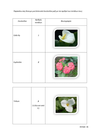 Παρακάτω σας δίνουμε μια λίστα από λουλούδια μαζί με τον αριθμό των πετάλων τους:

Λουλούδια

Αριθμός
πετάλων

Calla lily

1

Euphorbia

2

Trillium

Φωτογραφία

3
( ή δύο σετ από
3)

ΣΕΛΙΔΑ 36

 