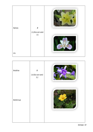 Κρίνος

3
( ή δύο σετ από
3)

iris

Βιολέτα

5
( ή δύο σετ από
5)

Buttercup

ΣΕΛΙΔΑ 37

 