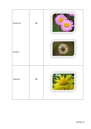 Pyrethrum

34

Plantain

Helenium

55

ΣΕΛΙΔΑ 41

 