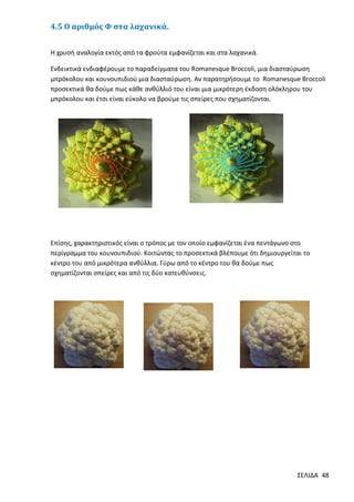 4.5 Ο αριθμός Φ στα λαχανικά.
Η χρυσή αναλογία εκτός από τα φρούτα εμφανίζεται και στα λαχανικά.
Ενδεικτικά ενδιαφέρουμε το παραδείγματα του Romanesque Broccoli, μια διασταύρωση
μπρόκολου και κουνουπιδιού μια διασταύρωση. Αν παρατηρήσουμε το Romanesque Broccoli
προσεκτικά θα δούμε πως κάθε ανθύλλιό του είναι μια μικρότερη έκδοση ολόκληρου του
μπρόκολου και έτσι είναι εύκολο να βρούμε τις σπείρες που σχηματίζονται.

Επίσης, χαρακτηριστικός είναι ο τρόπος με τον οποίο εμφανίζεται ένα πεντάγωνο στο
περίγραμμα του κουνουπιδιού. Κοιτώντας το προσεκτικά βλέπουμε ότι δημιουργείται το
κέντρο του από μικρότερα ανθύλλια. Γύρω από το κέντρο του θα δούμε πως
σχηματίζονται σπείρες και από τις δύο κατευθύνσεις.

ΣΕΛΙΔΑ 48

 