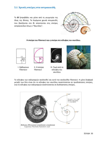 5.1 Χρυσές σπείρες στα οστρακοειδή.

Το Φ ξεπροβάλει και μέσα από τη γεωμετρία της
ίδιας της Φύσης. Τα λεγόμενα χρυσά σπειροειδή,
που βασίζονται στο Φ, απαντώνται στις σπείρες
οστρακοειδών όπως ο "Ναυτίλος".

Η σπείρα του Fibonacci και η σπείρα στο κέλυφος του ναυτίλου.

.

Ι. Ορθογώνια
Fibonacci

II. H σπείρα
Fibonacci

III. Τομή από το
κέλυφος του
ναυτίλου

Το κέλυφος των σαλιγκαριών ακολουθεί και αυτό την ακολουθία Fibonacci. Η μόνη διαφορά
μεταξύ των δύο είναι ότι το κέλυφος του ναυτίλου αναπτύσσεται σε τρισδιάστατες σπείρες,
ενώ το κέλυφος των σαλιγκαριών αναπτύσσεται σε δισδιάστατες σπείρες.

ΣΕΛΙΔΑ 50

 