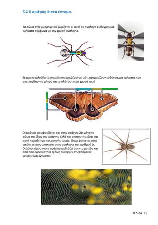 5.2 Ο αριθμός Φ στα έντομα.

Το σώμα ενός μυρμηγκιού χωρίζεται κι αυτό σε ανάλογα ευθύγραμμα
τμήματα σύμφωνα με την χρυσή αναλογία.

Σε μια πεταλούδα τα σημεία που μοιάζουν με μάτι σχηματίζουν ευθύγραμμα τμήματα που
απεικονίζουν το μήκος και το πλάτος της με χρυσή τομή

O αριθμός φ εμφανίζεται και στην αράχνη .Όχι μόνο το
σώμα της ίδιας της αράχνης αλλά και ο ιστός της είναι και
αυτό παράδειγμα της χρυσής τομής. Όπως φαίνεται στην
εικόνα ο ιστός υπακούει στην αναλογία του αριθμού φ.
Οι λόγοι όμως που η αράχνη σχεδιάζει αυτό το μοτίβο και
από που εμπνεύστηκε ή πως συνεχίζει στις επόμενες
γενιές είναι άγνωστοι.

ΣΕΛΙΔΑ 51

 