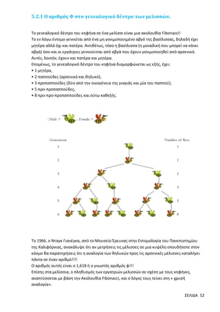 5.2.1 Ο αριθμός Φ στο γενεαλογικό δέντρο των μελισσών.
Το γενεαλογικό δέντρο του κηφήνα σε ένα μελίσσι είναι μια ακολουθία Fibonacci!
Το εν λόγω έντομο γεννιέται από ένα μη γονιμοποιημένο αβγό της βασίλισσας, δηλαδή έχει
μητέρα αλλά όχι και πατέρα. Αντιθέτως, τόσο η βασίλισσα (η μοναδική που μπορεί να κάνει
αβγά) όσο και οι εργάτριες γεννιούνται από αβγά που έχουν γονιμοποιηθεί από αρσενικό.
Αυτές, λοιπόν, έχουν και πατέρα και μητέρα.
Επομένως, το γενεαλογικό δέντρο του κηφήνα διαμορφώνεται ως εξής, έχει:
• 1 μητέρα,
• 2 παππούδες (αρσενικό και θηλυκό),
• 3 προπαππούδες (δύο από την οικογένεια της γιαγιάς και μία του παππού),
• 5 προ-προπαππούδες,
• 8 προ-προ-προπαππούδες και ούτω καθεξής.

Το 1966, ο Νταγκ Γιανέγκα, από το Μουσείο Έρευνας στην Εντομολογία του Πανεπιστημίου
της Καλιφόρνιας, ανακάλυψε ότι αν μετρήσεις τις μέλισσες σε μια κυψέλη οπουδήποτε στον
κόσμο θα παρατηρήσεις ότι η αναλογία των θηλυκών προς τις αρσενικές μέλισσες καταλήγει
πάντα σε έναν αριθμό!!!!
Ο αριθμός αυτός είναι ο 1,618 ή ο γνωστός αριθμός φ!!!
Επίσης στα μελίσσια, ο πληθυσμός των εργατριών μελισσών σε σχέση με τους κηφήνες,
αναπτύσσεται με βάση την Ακολουθία Fibonacci, και ο λόγος τους τείνει στη « χρυσή
αναλογία».
ΣΕΛΙΔΑ 52

 