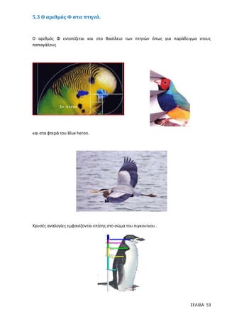 5.3 Ο αριθμός Φ στα πτηνά.

O αριθμός Φ εντοπίζεται και στο Βασίλειο των πτηνών όπως για παράδειγμα στους
παπαγάλους

και στα φτερά του Blue heron.

Χρυσές αναλογίες εμφανίζονται επίσης στο σώμα του πιγκουίνου .

ΣΕΛΙΔΑ 53

 