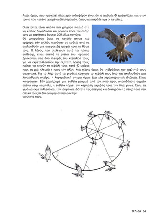 Αυτό, όμως, που προκαλεί ιδιαίτερο ενδιαφέρον είναι ότι ο αριθμός Φ εμφανίζεται και στον
τρόπο που πετάνε ορισμένα ήδη γερανών , όπως για παράδειγμα οι πετρίτες.
Οι πετρίτες είναι από τα πιο γρήγορα πουλιά στη
γη, καθώς ζυγιάζονται και ορμούν προς τον στόχο
τους με ταχύτητες έως και 200 μίλια την ώρα.
Θα μπορούσαν όμως να πετούν ακόμα πιο
γρήγορα εάν απλώς πετούσαν σε ευθεία αντί να
ακολουθούν μια σπειροειδή τροχιά προς το θύμα
τους. Ο λόγος που επιλέγουν αυτό τον τρόπο
επίθεσης, είναι επειδή τα μάτια του γερακιού
βρίσκονται στις δύο πλευρές του κεφαλιού τους,
για να εκμεταλλευτούν την οξύτατη όρασή τους,
πρέπει να κινούν το κεφάλι τους κατά 40 μοίρες
προς τη μια πλευρά ή προς την άλλη. Κάτι τέτοιο όμως θα επιβράδυνε την ταχύτητά τους
σημαντικά. Για το λόγο αυτό τα γεράκια κρατούν το κεφάλι τους ίσιο και ακολουθούν μια
λογαριθμική σπείρα. Η λογαριθμική σπείρα όμως έχει μία χαρακτηριστική ιδιότητα. Είναι
«ισογώνια». Εάν χαράξουμε μια ευθεία γραμμή από τον πόλο προς οποιοδήποτε σημείο
επάνω στην καμπύλη, η ευθεία τέμνει την καμπύλη ακριβώς προς την ίδια γωνία. Έτσι, τα
γεράκια εκμεταλλεύονται την ισογώνια ιδιότητα της σπείρας και διατηρούν το στόχο τους στο
οπτικό τους πεδίο ενώ μεγιστοποιούν την
ταχύτητά τους.

ΣΕΛΙΔΑ 54

 