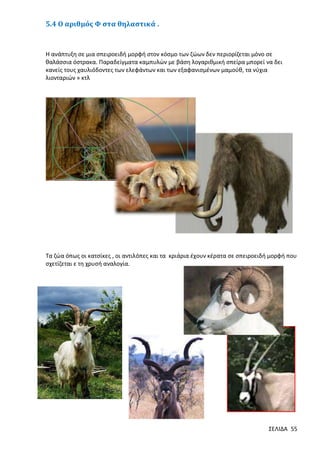 5.4 Ο αριθμός Φ στα θηλαστικά .

Η ανάπτυξη σε μια σπειροειδή μορφή στον κόσμο των ζώων δεν περιορίζεται μόνο σε
θαλάσσια όστρακα. Παραδείγματα καμπυλών με βάση λογαριθμική σπείρα μπορεί να δει
κανείς τους χαυλιόδοντες των ελεφάντων και των εξαφανισμένων μαμούθ, τα νύχια
λιονταριών » κτλ

Τα ζώα όπως οι κατσίκες , οι αντιλόπες και τα κριάρια έχουν κέρατα σε σπειροειδή μορφή που
σχετίζεται ε τη χρυσή αναλογία.

ΣΕΛΙΔΑ 55

 