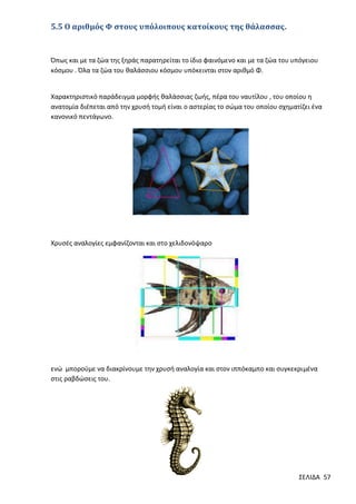 5.5 Ο αριθμός Φ στους υπόλοιπους κατοίκους της θάλασσας.

Όπως και με τα ζώα της ξηράς παρατηρείται το ίδιο φαινόμενο και με τα ζώα του υπόγειου
κόσμου . Όλα τα ζώα του θαλάσσιου κόσμου υπόκεινται στον αριθμό Φ.

Χαρακτηριστικό παράδειγμα μορφής θαλάσσιας ζωής, πέρα του ναυτίλου , του οποίου η
ανατομία διέπεται από την χρυσή τομή είναι ο αστερίας το σώμα του οποίου σχηματίζει ένα
κανονικό πεντάγωνο.

Χρυσές αναλογίες εμφανίζονται και στο χελιδονόψαρο

ενώ μπορούμε να διακρίνουμε την χρυσή αναλογία και στον ιππόκαμπο και συγκεκριμένα
στις ραβδώσεις του.

ΣΕΛΙΔΑ 57

 