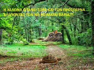 Η ΧΕΛΩΝΑ ΦΤΑΝΕΙ ΤΩΡΑ ΚΑΙ ΤΟΝ ΠΡΟΣΠΕΡΝΑ
ΒΛΕΠΟΝΤΑΣ ΤΟΝ ΝΑ ΚΟΙΜΑΤΑΙ ΒΑΡΙΑ!!!
 