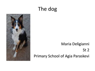 The dog
Maria Deligianni
St 2
Primary School of Agia Paraskevi
 