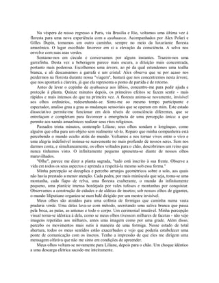 Na véspera de nosso regresso a Paris, via Brasília e Rio, voltamos uma última vez à
floresta para uma nova experiência com a ayahuasca. Acompanhados por Alex Polari e
Gilles Dupin, tomamos um outro caminho, sempre no meio da luxuriante floresta
amazônica. O lugar escolhido favorece em si a elevação da consciência. A selva nos
envolve com suas asas verdes.
Sentamo-nos em círculo e conversamos por alguns instantes. Trazem-nos uma
garrafinha. Desta vez a beberagem parece mais escura, a diluição mais concentrada,
portanto mais poderosa. Escolhemos uma árvore, ao pé da qual estendemos uma toalha
branca, e ali descansamos a garrafa e um cristal. Alex observa que se por acaso nos
perdermos na floresta durante nossa "viagem", bastará que nos concentremos nesta árvore,
que nos apontará a clareira, já que ela representa o ponto de partida e de retorno.
Antes de levar o copinho de ayahuasca aos lábios, concentro-me para pedir ajuda e
proteção à planta. Quinze minutos depois, os primeiros efeitos se fazem sentir - mais
rápidos e mais intensos do que na primeira vez. A floresta anima-se novamente, invisível
aos olhos ordinários, redesenhando-se. Sinto-me ao mesmo tempo participante e
espectador, analiso grau a grau as mudanças sensoriais que se operam em mim. Este estado
dissociativo permite-me funcionar em dois níveis de consciência diferentes, que se
entrelaçam e completam para favorecer a emergência de uma percepção única: a que
permite aos xamãs amazônicos realizar seus ritos religiosos.
Passados trinta minutos, contemplo Liliane; seus olhos sondam o longínquo, como
alguém que olha para um objeto sem realmente vê-lo. Reparo que minha companheira está
percebendo o mundo oculto atrás do mundo. Voltamos a nos tornar vivos entre o vivo e
uma alegria indefinível insinua-se suavemente no mais profundo de nossos seres. Sem nos
darmos conta, e simultaneamente, os olhos voltados para o chão, descobrimos um reino que
nunca tínhamos visto. O infinitamente pequeno apresenta-se diante de nossos olhos
maravilhados.
"Olhe", parece me dizer a planta sagrada, "tudo está inscrito à sua frente. Observe a
vida em todos os seus aspectos e aprenda a respeitá-la mesmo sob essa forma."
Minha percepção se decuplica e percebo arranjos geométricos sobre o solo, aos quais
não havia prestado a menor atenção. Cada pedra, por mais minúscula que seja, toma-se uma
montanha, cada fiapo de relva, uma floresta exuberante, o mundo do infinitamente
pequeno, uma planície imensa bordejada por vales tufosos e montanhas por conquistar.
Observamos a construção de cidades e de aldeias de insetos; sob nossos olhos de gigantes,
o mundo liliputiano organiza-se num balé dirigido por um mestre invisível.
Meus olhos são atraídos para uma colônia de formigas que caminha numa vasta
pradaria verde. Uma delas lava-se com método, secretando uma saliva branca que passa
pela boca, as patas, as antenas e todo o corpo. Um cerimonial imutável. Minha percepção
visual torna-se idêntica à dela, como se meus olhos tivessem milhares de facetas - não vejo
imagens repetidas aos milhares, antes uma imagem como por uma grade. Além disso,
percebo os movimentos mais sutis à maneira de uma formiga. Nesse estado de total
abertura, todos os meus sentidos estão exacerbados e vejo que poderia estabelecer uma
ponte de comunicação com os insetos. Tenho a impressão de que eles me dirigem uma
mensagem olfativa que não me sinto em condições de apreender.
Meus olhos voltam-se novamente para Liliane, depois para o chão. Um choque idêntico
a uma descarga elétrica sacode-me inteiramente.
 