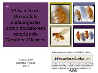 + Utilização de
Drosophila
melanogaster
como modelo em
estudos de
Genética Clássica
Diana Lobo
Cristina Aguiar
2011
Aceite para publicação em 6 de Junho de 2011
 