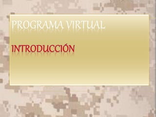 PROGRAMA VIRTUAL
 