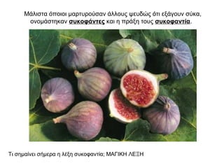 Μάλιστα όποιοι μαρτυρούσαν άλλους ψευδώς ότι εξάγουν σύκα,
ονομάστηκαν συκοφάντες και η πράξη τους συκοφαντία.
Τι σημαίνει σήμερα η λέξη συκοφαντία; ΜΑΓΙΚΗ ΛΕΞΗ
 