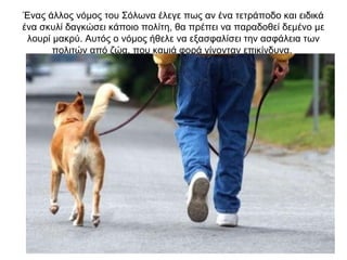 Ένας άλλος νόµος του Σόλωνα έλεγε πως αν ένα τετράποδο και ειδικά
ένα σκυλί δαγκώσει κάποιο πολίτη, θα πρέπει να παραδοθεί δεµένο µε
λουρί µακρύ. Αυτός ο νόµος ήθελε να εξασφαλίσει την ασφάλεια των
πολιτών από ζώα, που καµιά φορά γίνονταν επικίνδυνα.
 