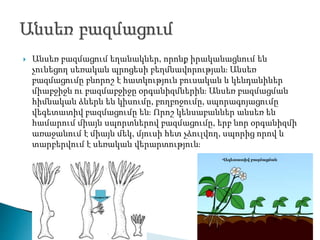  Անսեռ բազմացում եղանակներ, որոնք իրականացնում են
չունեցող սեռական պրոցեսի բեղմնավորության։ Անսեռ
բազմացումը բնորոշ է հատկություն բուսական և կենդանիներ
միաբջիջն ու բազմաբջիջը օրգանիզմներին։ Անսեռ բազմացման
հիմնական ձևերն են կիսումը, բողբոջումը, սպորագոյացումը
վեգետատիվ բազմացումը են։ Որոշ կենսաբաններ անսեռ են
համարում միայն սպորտներով բազմացումը, երբ նոր օրգանիզմի
առաջանում է միայն մեկ, մյուսի հետ չձուլվող, սպորից որով և
տարբերվում է սեռական վերարտություն։
 
