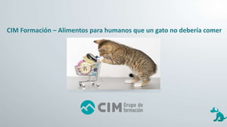 CIM Formación – Alimentos para humanos que un gato no debería comer
 