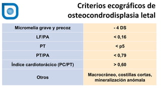 1
Micromelia grave y precoz - 4 DS
LF/PA < 0,16
PT < p5
PT/PA < 0,79
Índice cardiotorácico (PC/PT) > 0,60
Otros
Macrocráneo, costillas cortas,
mineralización anómala
Criterios ecográficos de
osteocondrodisplasia letal
 