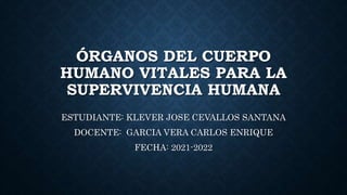 ÓRGANOS DEL CUERPO
HUMANO VITALES PARA LA
SUPERVIVENCIA HUMANA
ESTUDIANTE: KLEVER JOSE CEVALLOS SANTANA
DOCENTE: GARCIA VERA CARLOS ENRIQUE
FECHA: 2021-2022
 