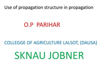 Use of propagation structure in propagation
O.P PARIHAR
COLLEGGE OF AGRICULTURE LALSOT, (DAUSA)
SKNAU JOBNER
 