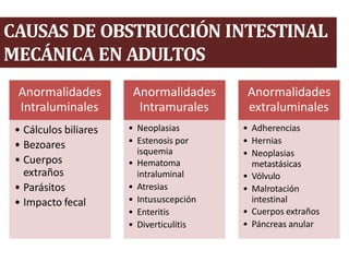 CAUSAS DE OBSTRUCCIÓN INTESTINAL
MECÁNICA EN ADULTOS
Anormalidades
Intraluminales
• Cálculos biliares
• Bezoares
• Cuerpos
extraños
• Parásitos
• Impacto fecal
Anormalidades
Intramurales
• Neoplasias
• Estenosis por
isquemia
• Hematoma
intraluminal
• Atresias
• Intususcepción
• Enteritis
• Diverticulitis
Anormalidades
extraluminales
• Adherencias
• Hernias
• Neoplasias
metastásicas
• Vólvulo
• Malrotación
intestinal
• Cuerpos extraños
• Páncreas anular
 