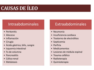 CAUSAS DE ÍLEO
Intraabdominales
• Peritonitis
• Absceso
• Inflamación
• Cirugía
• Ácido gástrico, bilis, sangre
• Isquemia intestinal
• Fx de columna
• Pancreatitis
• Cólico renal
• Metástasis
Extraabdominales
• Neumonía
• Insuficiencia cardiaca
• Trastorno de electrólitos
• Septicemia
• Porfiria
• Medicamentos
• Lesiones de médula espinal
• Trauma cefálico
• Radioterapia
• Quimioterapia
 