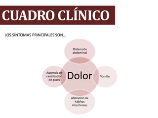 CUADRO CLÍNICO
Dolor Vómito
Alteración de
hábitos
intestinales
Ausenciade
canalización
de gases
LOS SÍNTOMAS PRINCIPALES SON…
Distensión
abdominal
 