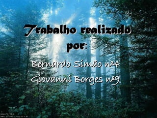 Trabalho realizado por : Bernardo Simão nº4 Giovanni Borges nº9 