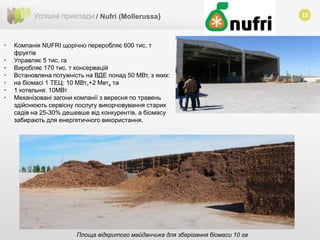 15Успішні приклади / Nufri (Мollerussa)
• Компанія NUFRI щорічно переробляє 600 тис. т
фруктів
• Управляє 5 тис. га
• Виробляє 170 тис. т консервацій
• Встановлена потужність на ВДЕ понад 50 МВт, з яких:
• на біомасі 1 ТЕЦ: 10 МВтт+2 Мвте та
• 1 котельня: 10МВт
• Механізовані загони компанії з вересня по травень
здійснюють сервісну послугу викорчовування старих
садів на 25-30% дешевше від конкурентів, а біомасу
забирають для енергетичного використання.
Площа відкритого майданчика для зберігання біомаси 10 га
 