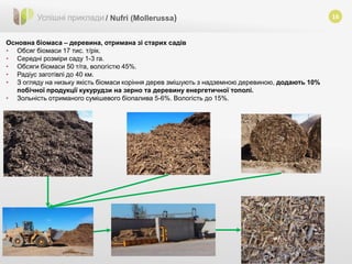 16
Основна біомаса – деревина, отримана зі старих садів
• Обсяг біомаси 17 тис. т/рік.
• Середні розміри саду 1-3 га.
• Обсяги біомаси 50 т/га, вологістю 45%.
• Радіус заготівлі до 40 км.
• З огляду на низьку якість біомаси коріння дерев змішують з надземною деревиною, додають 10%
побічної продукції кукурудзи на зерно та деревину енергетичної тополі.
• Зольність отриманого сумішевого біопалива 5-6%. Вологість до 15%.
Успішні приклади / Nufri (Мollerussa)
 