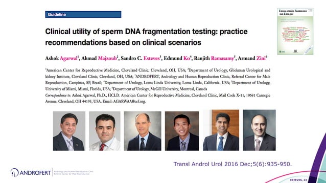 Clinical Utility of Sperm DNA Fragmentation Testing: is the jury still ...