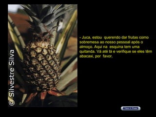 - Juca, estou  querendo dar frutas como sobremesa ao nosso pessoal após o  almoço. Aqui na  esquina tem uma quitanda. Vá até lá e verifique se eles têm  abacaxi, por  favor. 