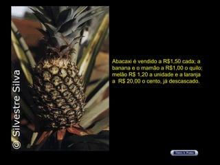 Abacaxi é vendido a R$1,50 cada; a banana e o mamão a R$1,00 o quilo; melão R$ 1,20 a unidade e a laranja  a  R$ 20,00 o cento, já descascado. 