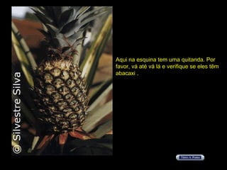 Aqui na esquina tem uma quitanda. Por favor, vá até vá lá e verifique se eles têm abacaxi . 