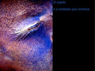 O sujeito é a entidade que conhece 