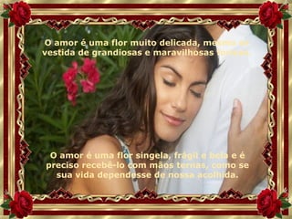 O amor é uma flor muito delicada, mesmo se vestida de grandiosas e maravilhosas formas. O amor é uma flor singela, frágil e bela e é preciso recebê-lo com mãos ternas, como se sua vida dependesse de nossa acolhida. 