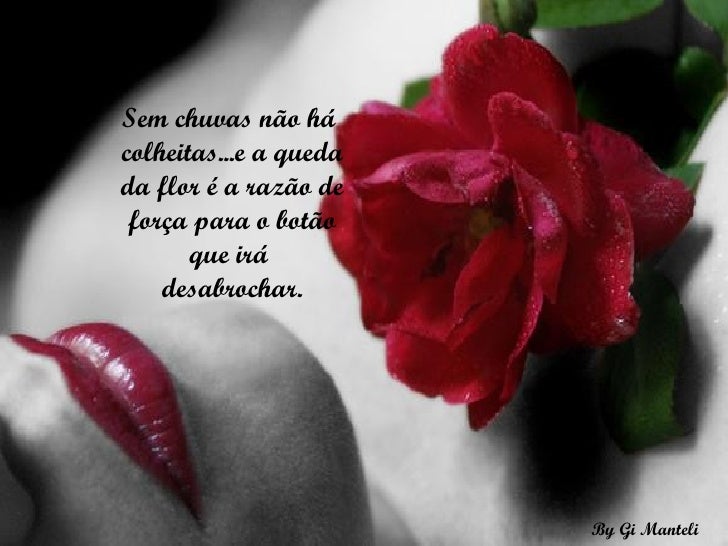 Imagem relacionada