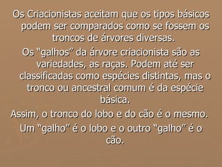 Os Criacionistas aceitam que os tipos básicos podem ser comparados como se fossem os troncos de árvores diversas.  Os “galhos” da árvore criacionista são as variedades, as raças. Podem até ser classificadas como espécies distintas, mas o tronco ou ancestral comum é da espécie básica. Assim, o tronco do lobo e do cão é o mesmo.  Um “galho” é o lobo e o outro “galho” é o cão. 