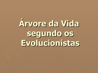 Árvore da Vida  segundo os  Evolucionistas 