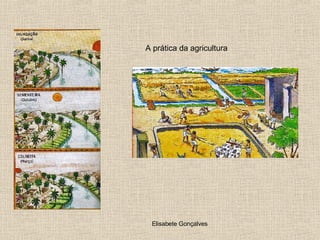 A prática da agricultura 