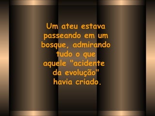 Um ateu estava  passeando em um  bosque, admirando  tudo o que  aquele "acidente   da evolução"  havia criado. 