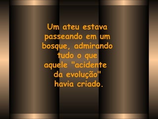 Um ateu estava  passeando em um  bosque, admirando  tudo o que  aquele "acidente   da evolução"  havia criado. 